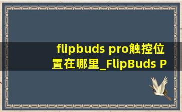 flipbuds pro触控位置在哪里_FlipBuds Pro怎么触控